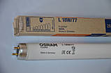 Лампа OSRAM L18W/77 G13 Fluora люмінесцентна для рослин і квітів, фото 3