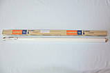 Лампа OSRAM L18W/77 G13 Fluora люмінесцентна для рослин і квітів, фото 4