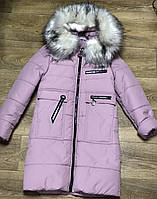 Пальто зимове для дівчаток 122-140/плащовка Канада /пудра