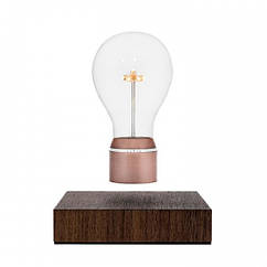 Лампа левітуюча Flyte Buckminster