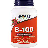 Комплекс В-100 для нервной системы Nervous System Health Now Foods 100 вегетарианских капсул GT, код: 7701066