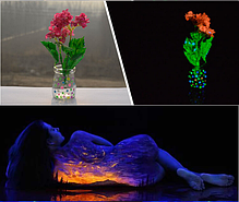 Світиться в темряві пігмент порошок флуоресцентний в асортименті 12 кольорів (ціна за 1шт), фото 2