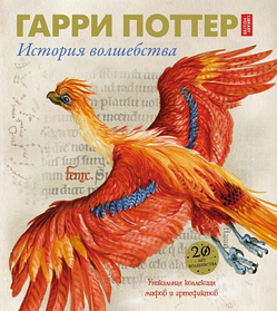 Гаррі Поттер. Історія чарівництва (тверда обкладинка з ілюстраціями)