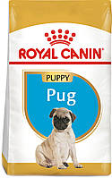 Сухой полнорационный корм для щенков Royal Canin Pug Puppy породы мопс в возрасте до 10 месяц CP, код: 7581495