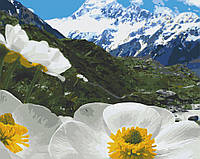 Картина по номерам Art Craft Альпийские маки 40х50 см 10564-AC OB, код: 7886280