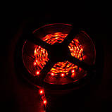 Світлодіодна стрічка Venom SMD 2835 60д.м. (IP33) Standart 5м. Тепло-білий, фото 4