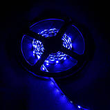 Світлодіодна стрічка Venom SMD 2835 60д.м. (IP33) Standart 5м. Тепло-білий, фото 5