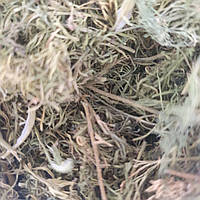 1 кг Укроп трава сушеная (Свежий урожай) лат. Anéthum