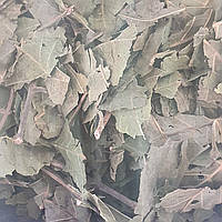 1 кг Грецкий орех лист сушеный (Свежий урожай) лат. Júglans régiа