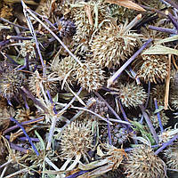 1 кг Синеголовник плосколистный трава сушеная (Свежий урожай) лат. Eryngium planum