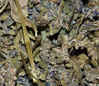 1 кг Живучка ползучая трава сушеная (Свежий урожай) лат. Ajúga réptans