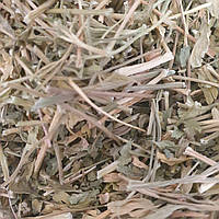 1 кг Петрушка сушеная зелень/трава (Свежий урожай) лат. Petroselinum