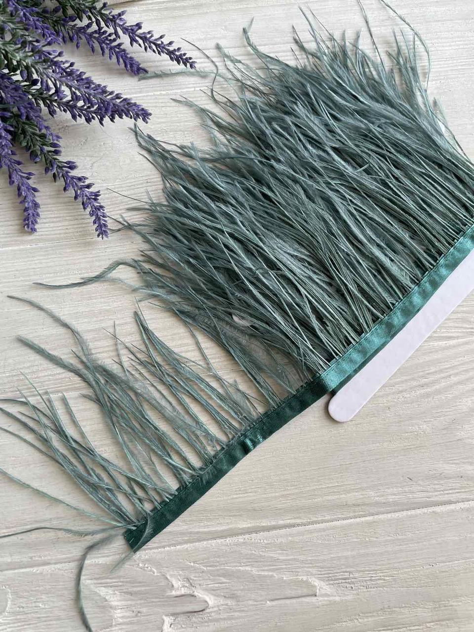 Пір'яна тасьма СТРАУС 2 метри , смарагдова