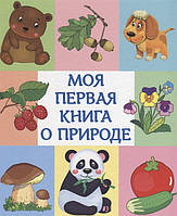 Книга мир животных растения природа `Моя первая книга о природе` Энциклопедия для любознательных детей