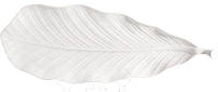 Блюда сервировочные (2 штуки) White City Лист 43x16см, белый фарфор