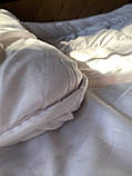 Ковдра зимова ЕкоПух Євро розмір 200х210 см, фото 3