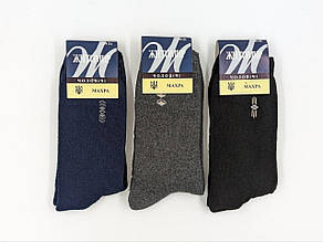 Чоловічі махрові шкарпетки Житомир, зимові однотонні високі теплі,  розмір 41-44. 12 пар/уп. асорті