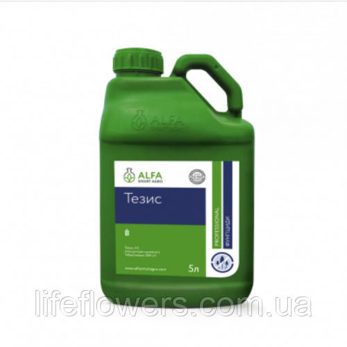 Фунгіцид Тезис 5л