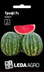 Трофі F1 насіння кавуна, 5 насінин — ранній, солодкий, LEDAAGRO, фото 1
