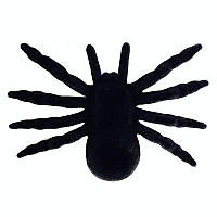 Павук декоративний чорний оксамитовий