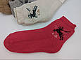 Жіночі шкарпетки шкарпетки теплі Kardesle середні з вовни та махрою з оленем 36-40 мікс 6 пар/уп, фото 3