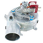 Вентилятор Baxi Westen Main-5 Eco Compact Pulsar E Quasar E 710365100, фото 4