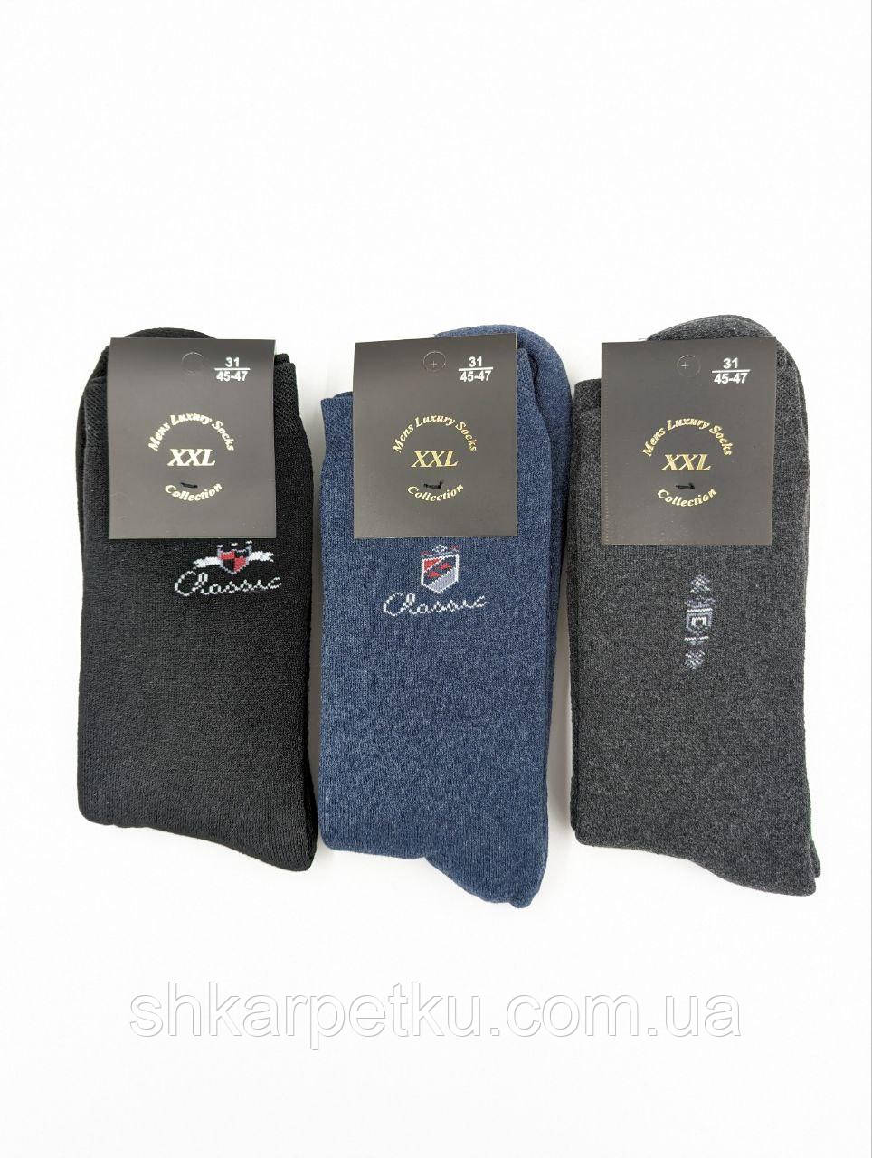 Чоловічі шкарпетки XXL махрові однотонні з написом розміри 41-43 12 пар/пач. мікс кольорів