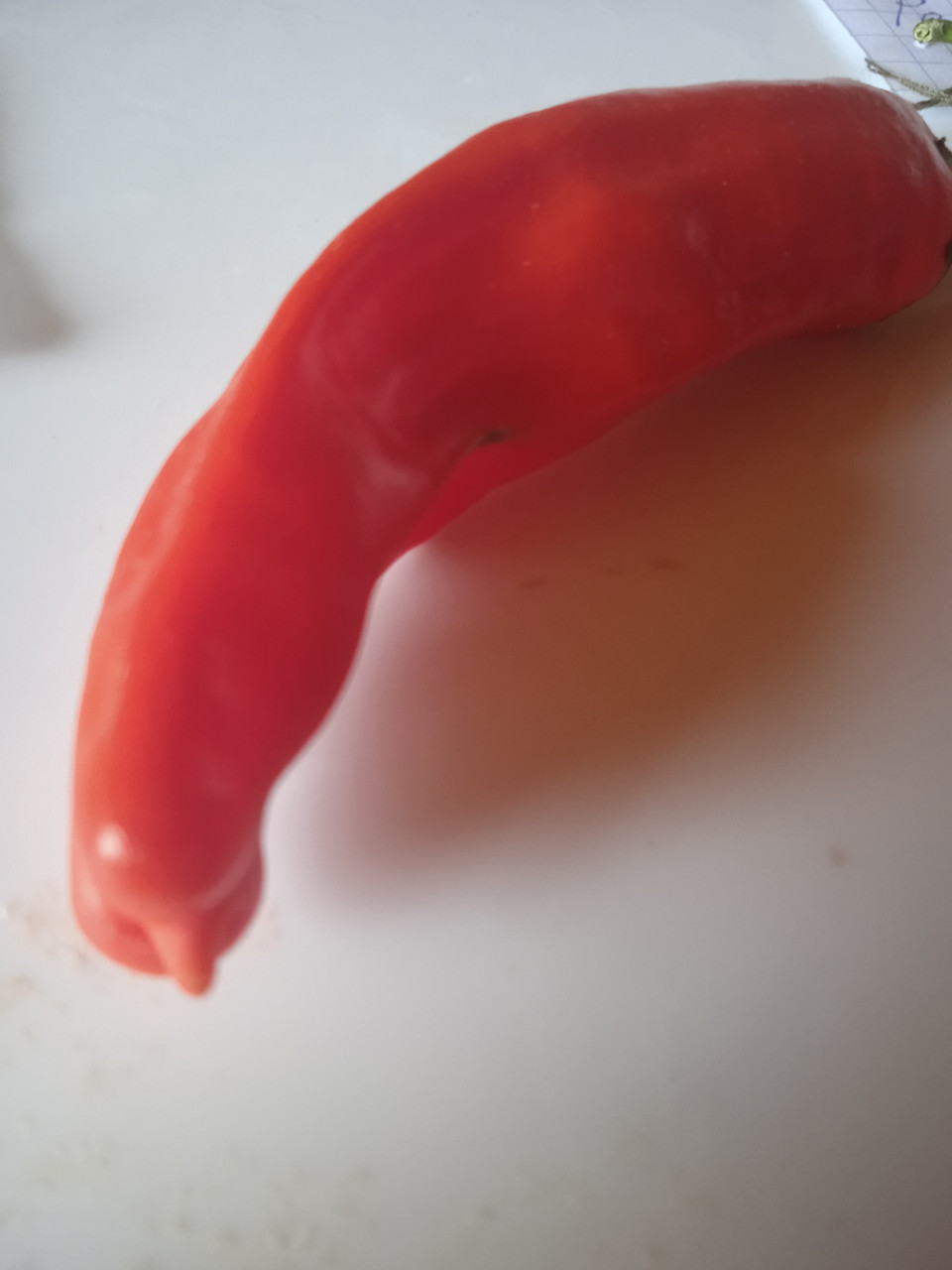 Насіння перцю Peter Pepper 5 штук