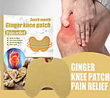 Ортопедичний турмаліновий пластир, що зігріває знеболювальний з Імбиром 12 штук, фото 3