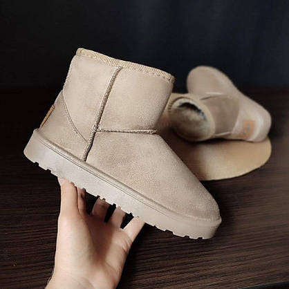 Уги бежеві екозамшеві світлі короткі низькі теплі зимові UGG, фото 6