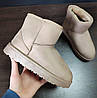 Уги бежеві світлі екозамша низькі теплі зимові без застібок короткі жіночі 2023, фото 6