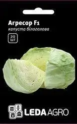 Насіння капусти Агресор F1/ Agressor F1, 20 насінин — середньо-пізня LEDAAGRO, фото 1