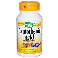 Пантотеновая кислота, Pantothenic Acid, Nature's Way, 250 мг, 100 капсул ZK, код: 5538577