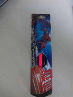 Олівці кольорові ПЛК 12кол.