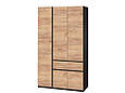 Шафа трьохдверна розпашна Брайт 1221 венге/дуб крафт білий, фото 9