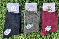 Женские носки зимние махровые без резинки "VIP" размер 36-41 Микс (от 12 пар)