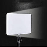 Світлодіодна прямокутна лампа для фото відео 36х25 см PL-36 з пультом та штативом 2м для блогерів візажистів, фото 4