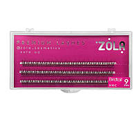 Zola Вії в пучках Birdtail