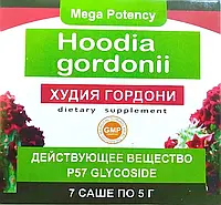 Hoodia Gordonii - средство для похудения (Худия Гордони)