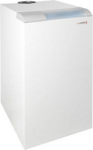 Газовий котел Protherm «Ведмідь» 50 PLO, фото 1