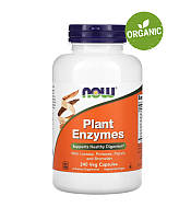 NOW Foods, Plant Enzymes, Растительные ферменты, 240 капсул