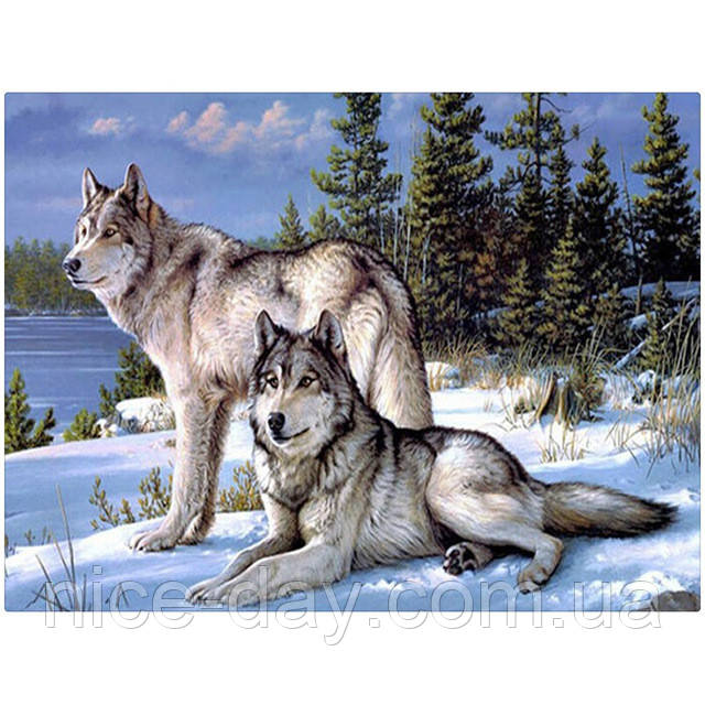 Картина для малювання камінням Diamond painting "Вовки взимку", фото 1