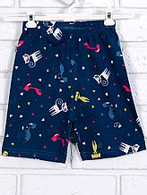 Шорти дитячі, Кішки