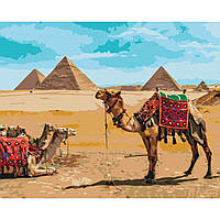 Картина по номерам "Египетский колорит"