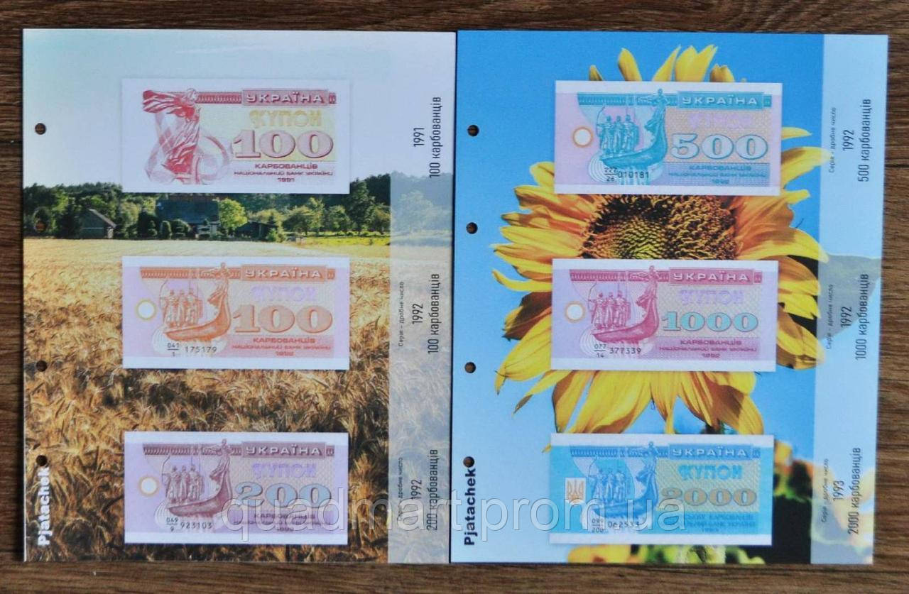 Альбом + комплект листов с разделителями для банкнот Украины 1992-1995 гг. купоны карбованцы QM, код: 7471905 - фото 3 - id-p1959270138