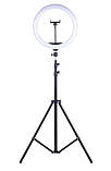 Кільцева LED-лампа Ring Fill Light 36 см. зі штативом 2 м.  та тримачем для телефону. Для селфі,  блогера, косметолога, візажиста, фото 4