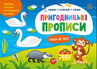 Багаторазові прописи Пиши-витирай Пригодницькі прописи Гайда до лісу (9786170983558)