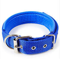 Ошейник для собаки Pet Style "Классический" Синий 31-38 см
