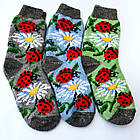 Товсті вовняні жіночі шкарпетки "Божа корівка" р.35-39