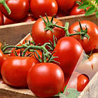 Насіння Томат Червона шапочка Садиба центр 0,1 г, фото 2